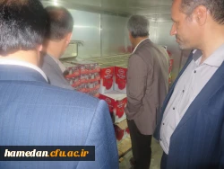 هفته ی سراهای دانشجویی