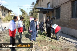 به مناسبت فرا رسیدن روز درختکاری انجام شد: غرس چندین نهال به همت کانون هلال احمر پردیس شهید مقصودی همدان