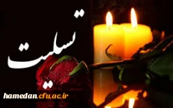 استاد ارجمند آقای دکتر مرتضی کریمی نیا 2