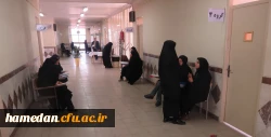 اولین روز فرایند مصاحبه تخصصی از داوطلبان ورود به آموزش و پرورش استان همدان 4