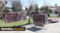 خانه تکانی در پردیس شهید مقصودی همدان برای استقبال از سال جدید
 5