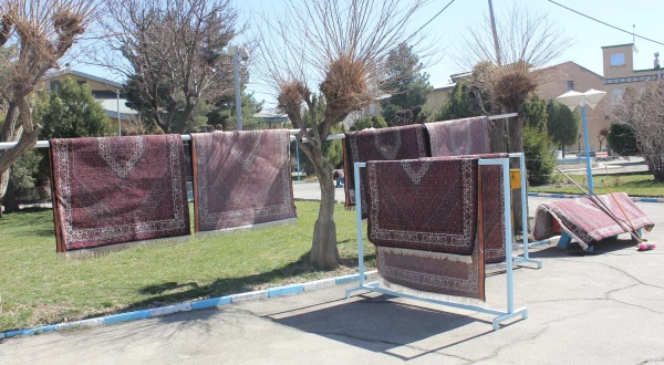 خانه تکانی در پردیس شهید مقصودی همدان برای استقبال از سال جدید
 5