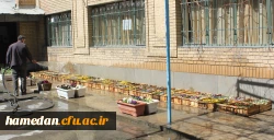 خانه تکانی در پردیس شهید مقصودی همدان برای استقبال از سال جدید
 8