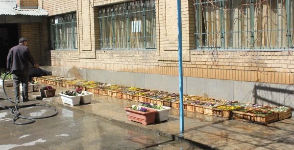 خانه تکانی در پردیس شهید مقصودی همدان برای استقبال از سال جدید
 8