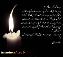 همکار ارجمند جناب آقای احمد نائینی 3