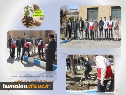 غرس یک اصله نهال میوه در محوطه پردیس شهید مقصودی همدان 2