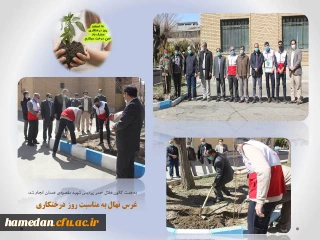 به همت کانون هلال احمر صورت گرفت

غرس چند اصله نهال میوه در محوطه پردیس شهید مقصودی همدان
