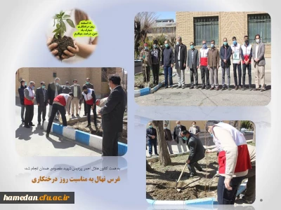 به همت کانون هلال احمر صورت گرفت

غرس چند اصله نهال میوه در محوطه پردیس شهید مقصودی همدان