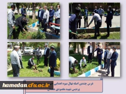 غرس نهال میوه در محوطه پردیس شهید مقصودی همدان 2