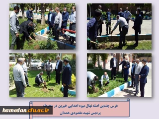 غرس نهال میوه در محوطه پردیس شهید مقصودی همدان