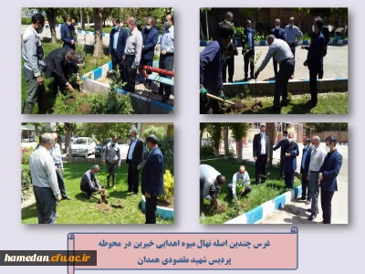 غرس نهال میوه در محوطه پردیس شهید مقصودی همدان