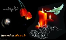 جناب آقای دکتر امیر کرد کریمی 2