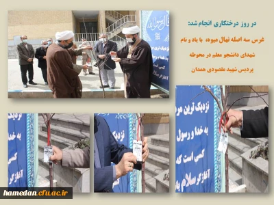 همزمان با روزدرختکاری انجام شد

غرس سه اصله نهال به یاد شهدای دانشجو معلم پردیس شهید مقصودی همدان

