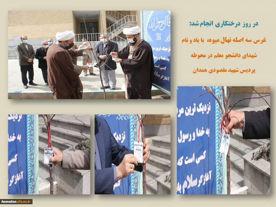 غرس سه اصله نهال به یاد شهدای دانشجو معلم پردیس شهید مقصودی همدان

 2