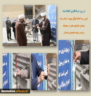 غرس نهال در محوطه پردیس شهید مقصودی همدان