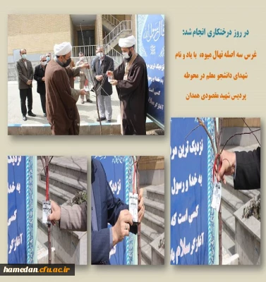 غرس نهال در محوطه پردیس شهید مقصودی همدان