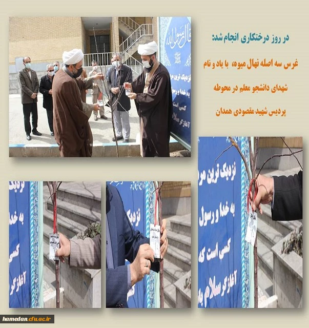 غرس نهال در محوطه پردیس شهید مقصودی همدان 2