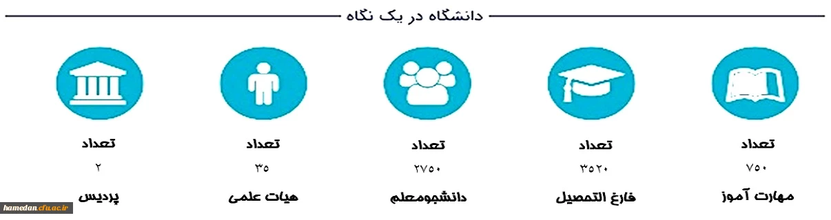 دانشگاه در یک نگاه