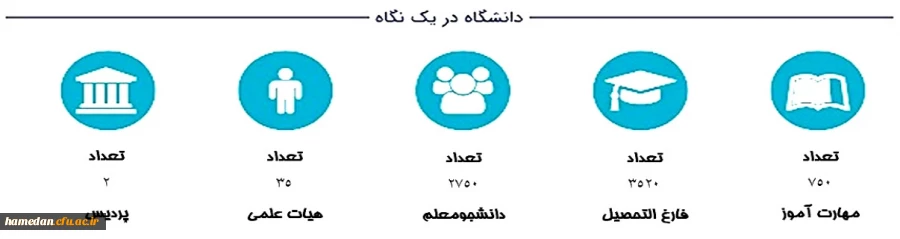 دانشگاه در یک نگاه