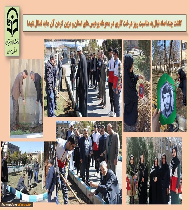 کاشت چند اصله نهال در محوطه پردیس های استان و مزین شدن نهال ها به تمثال شهدا
