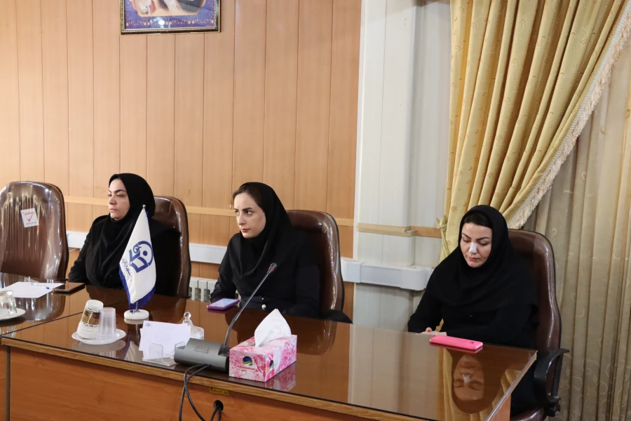 نقد و تبیین کتاب "تاریخ ایران و جهان از آغاز تا عصر حاضر(کتاب درسی دانشگاه فرهنگیان)" با حضور مؤلفان و ناقدین 4