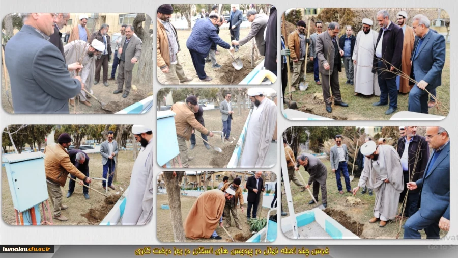 غرس چند اصله نهال در محوطه پردیس های استان 2