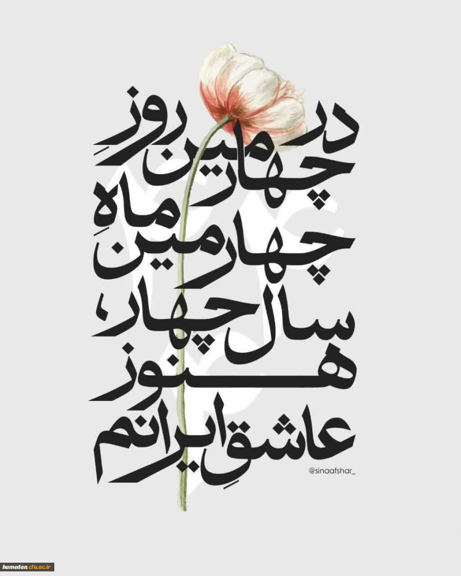 نمادی از توازن و زیبایی 2