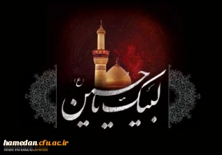 چیست این صحرای غمگین که هزاران قطره براورده به خون