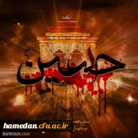 حرم زیبای امام حسین(ع) 2