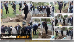 قرص 4 اصله درخت در محوطه دانشگاه فرهنگیان همدان 2