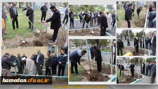 به مناسبت 22 اسفند روز بزرگداشت شهدا اتفاق افتاد:

غرس 4 اصله درخت در محوطه دانشگاه فرهنگیان همدان