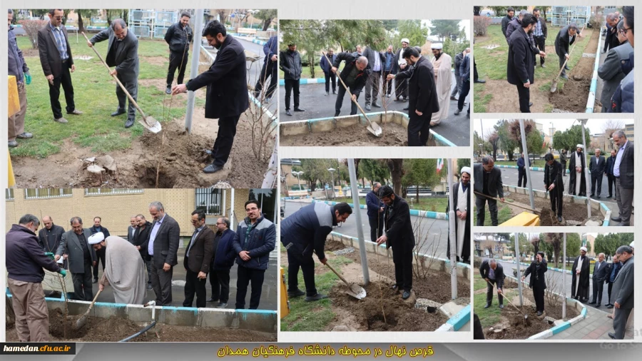 قرص 4 اصله درخت در محوطه دانشگاه فرهنگیان همدان 2