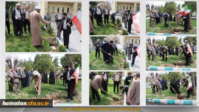 غرس چهار اصله نهال مثمر در محوطه دانشگاه فرهنگیان همدان