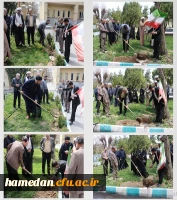 غرس درخت مثمر در محوطه دانشگاه فرهنگیان 2